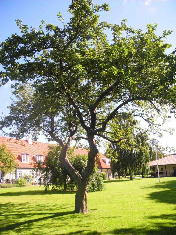 Inspiration Center Denmark, Bed & Breakfast Maribo Exterior foto
